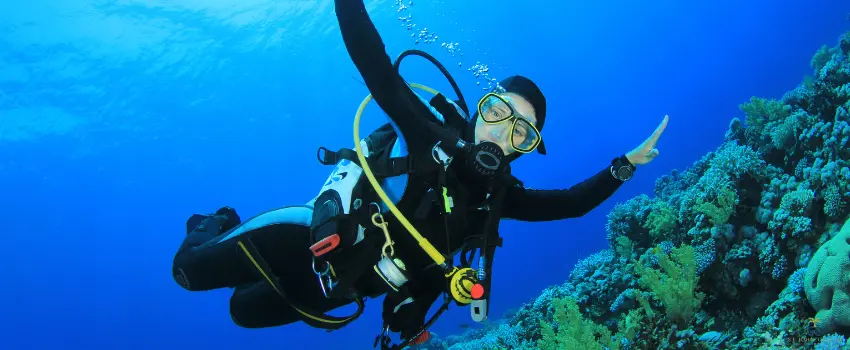 SJI-Scuba Diving Signals